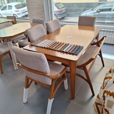 مدل ویکتور